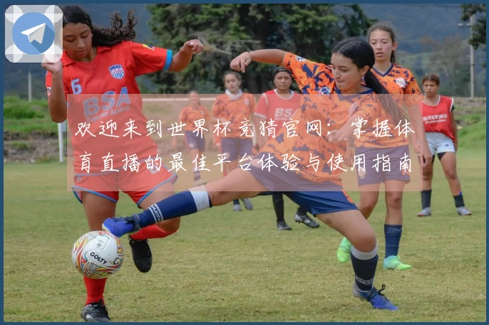 欢迎来到世界杯竞猜官网：掌握体育直播的最佳平台体验与使用指南