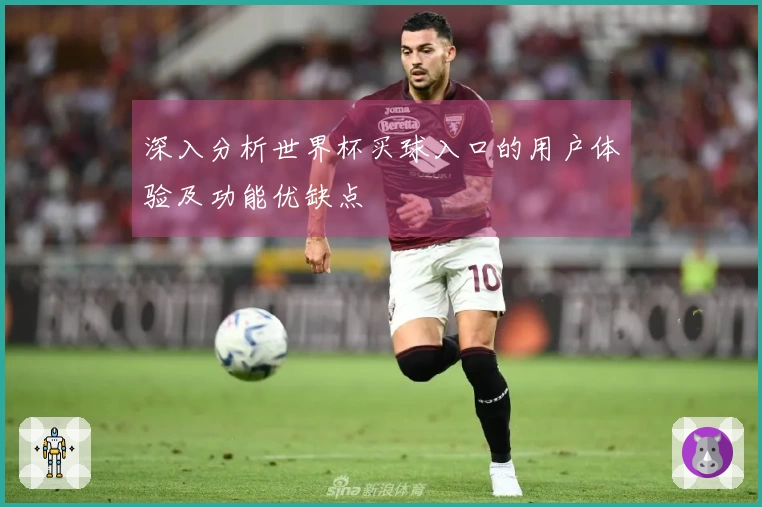 深入分析世界杯买球入口的用户体验及功能优缺点