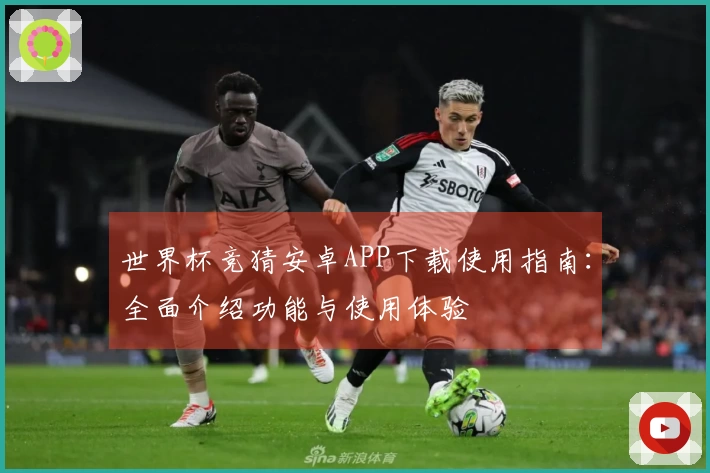 世界杯竞猜安卓APP下载使用指南：全面介绍功能与使用体验