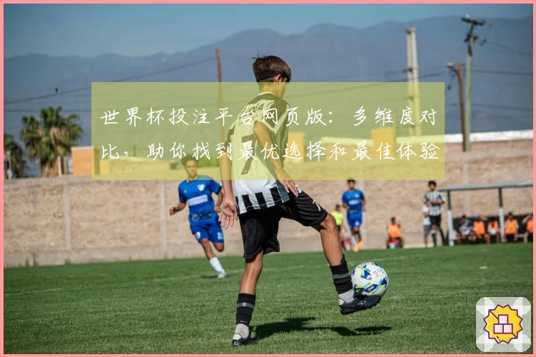 世界杯投注平台网页版：多维度对比，助你找到最优选择和最佳体验